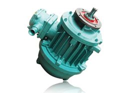 BZDY系列隔爆型錐型轉(zhuǎn)子三相異步電動機(jī)